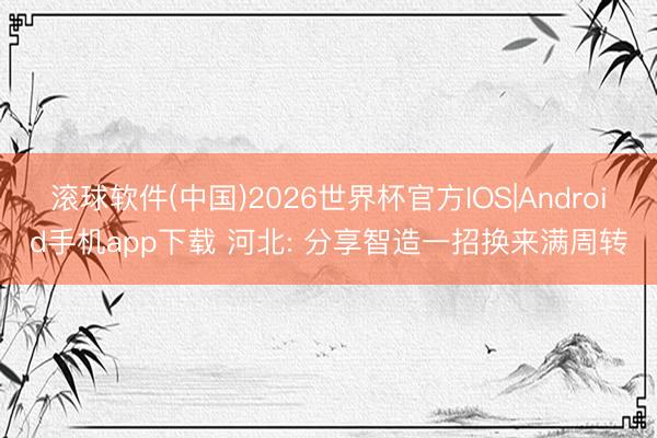 滚球软件(中国)2026世界杯官方IOS|Android手机app下载 河北: 分享智造一招换来满周转